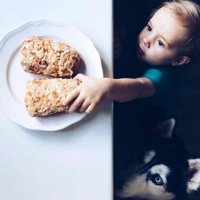 perro y niño robando comida