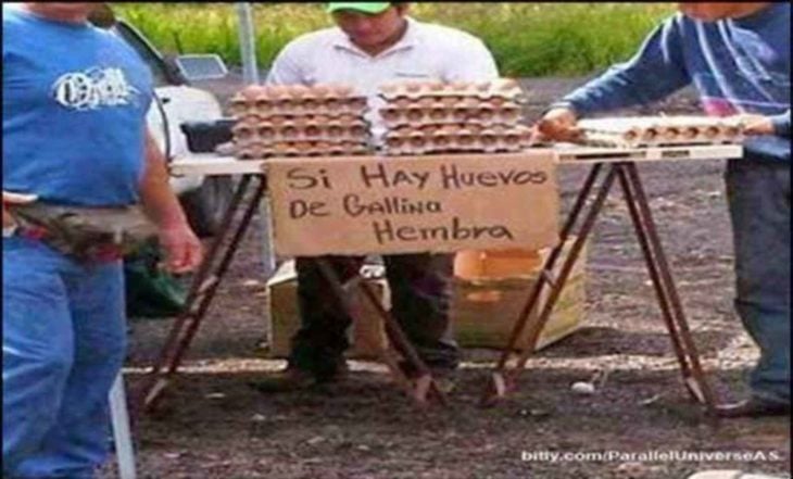 señor vendiendo huevos de gallina hembra