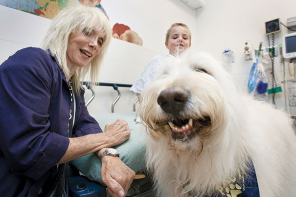 perro sonriendo en hospital