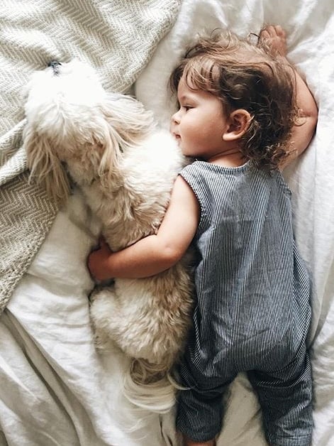 niño acostado con perro french