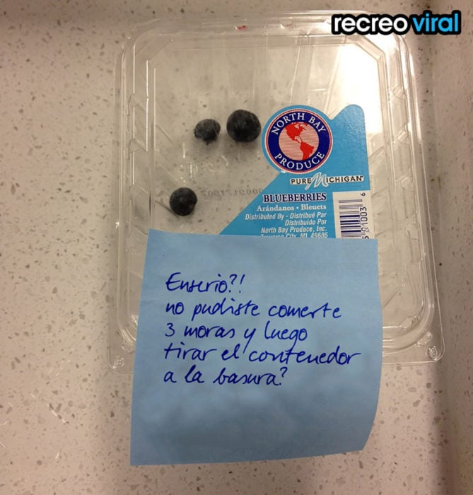 contenedor de moras azules