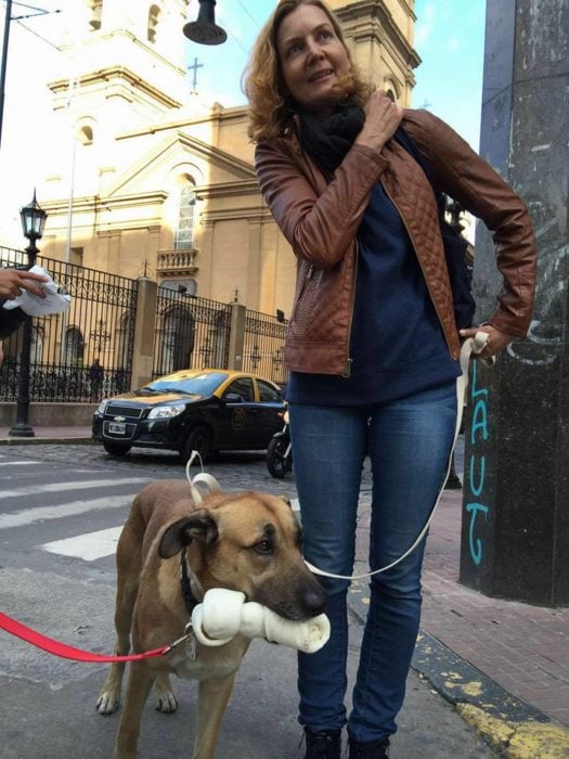 mujer paseando un perro