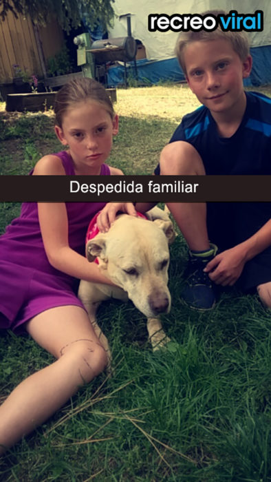 perrita labrador con una niña y un niño