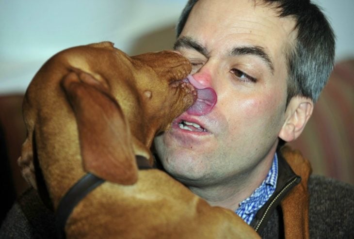 perro besando a humano