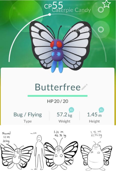 butterfree