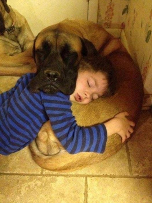 niño usa como almohada a su perro