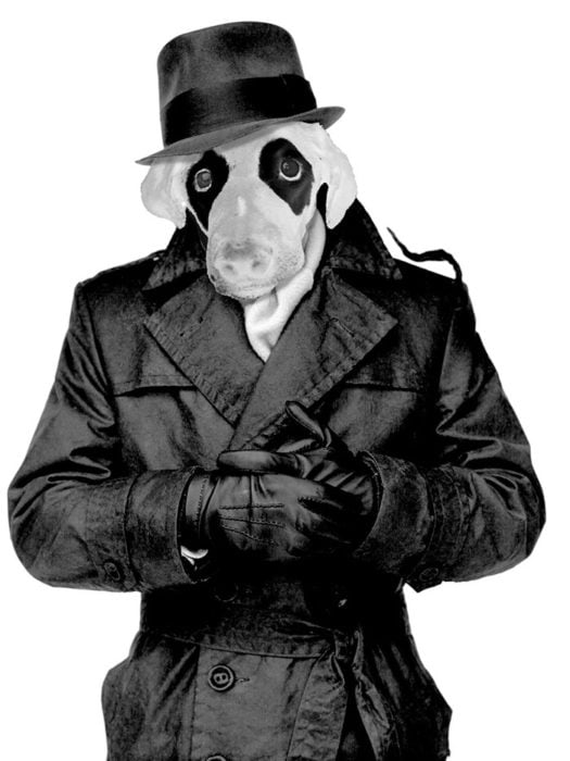 perro editado como rorscharch