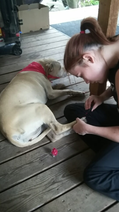 mujer le pinta las uñas a su perro