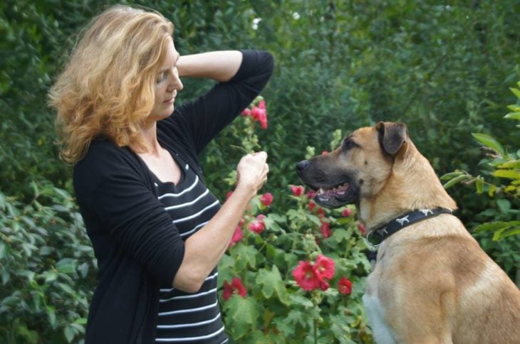 perro mujer y flor