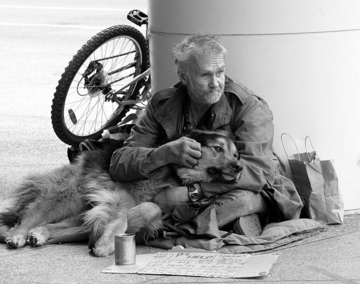 perro y vagabundo