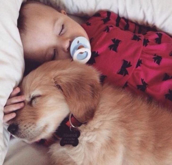 niña durmiendo con cachorro