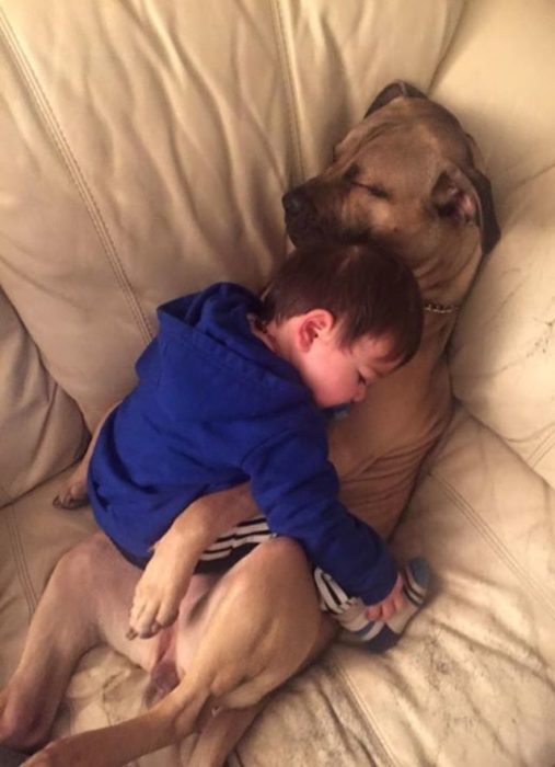 niño que duerme abrazando a su perro