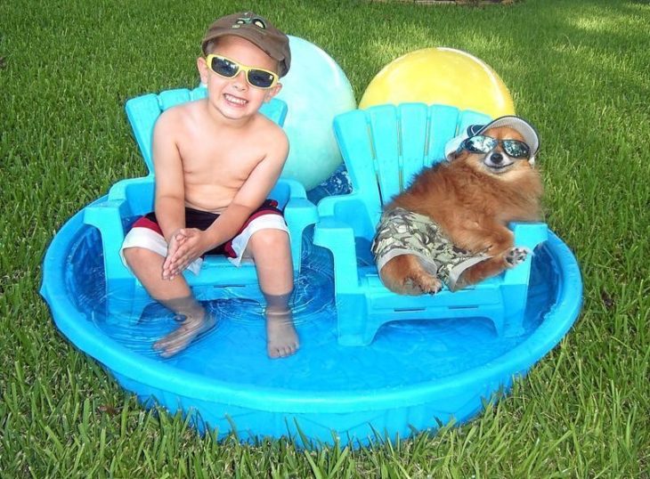 niño y perro en piscina 