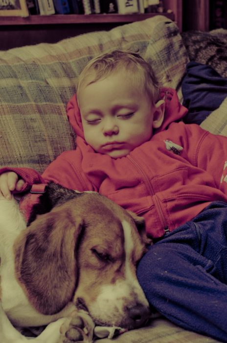 niño con sudadera roja durmiendo con un perrito