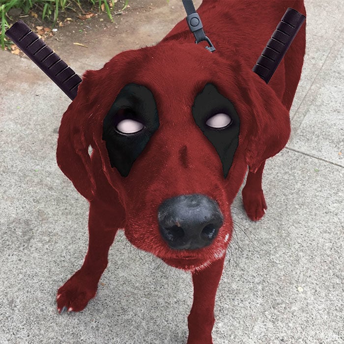 perrito deadpool