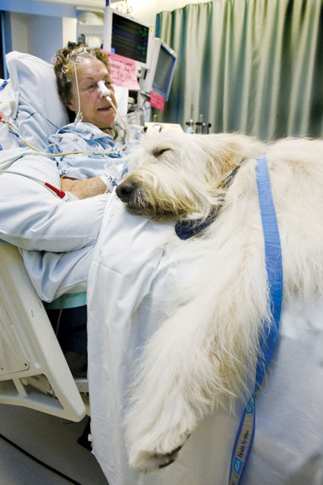 mujer en hospital con su mascota