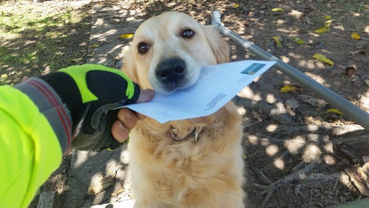 Cartero le entrega un sobre a una perrita