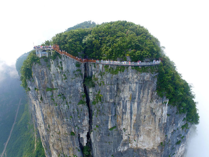 montaña con árboles