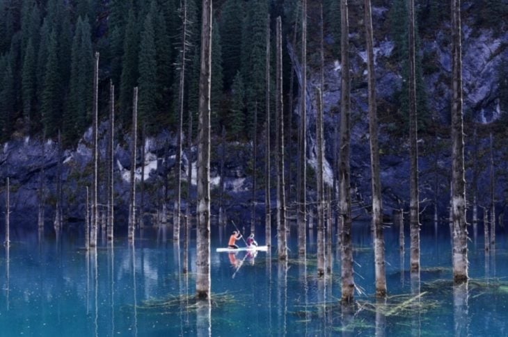 canoa en un bosque 