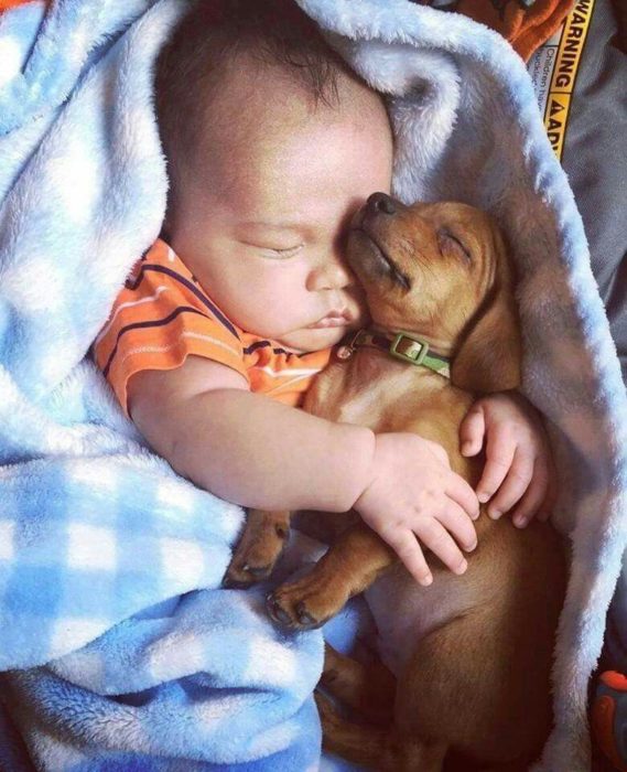 bebé dormido abrazando a un cachorro