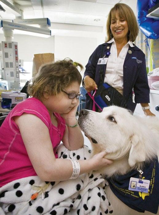 niña en un hospital con un perro