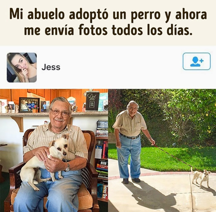 anciano y perro