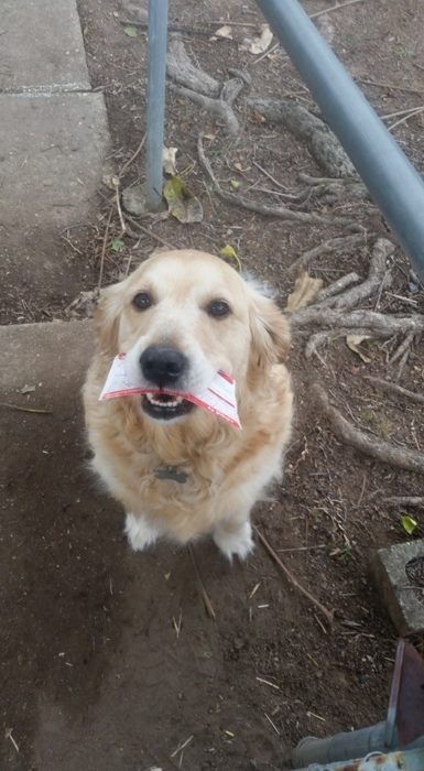 Pippa sonriendo mientras sostiene su correo