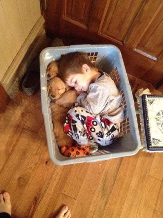 niño durmiendo en un cesto con cachorros