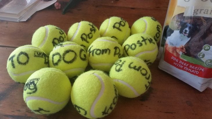 Pelotas de tennis regalo del cartero para los perros