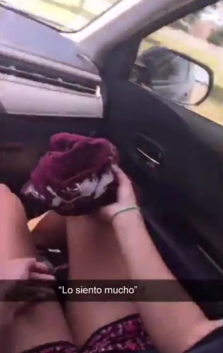 Snapchat chica atropelló a un pájaro y le pide perdón