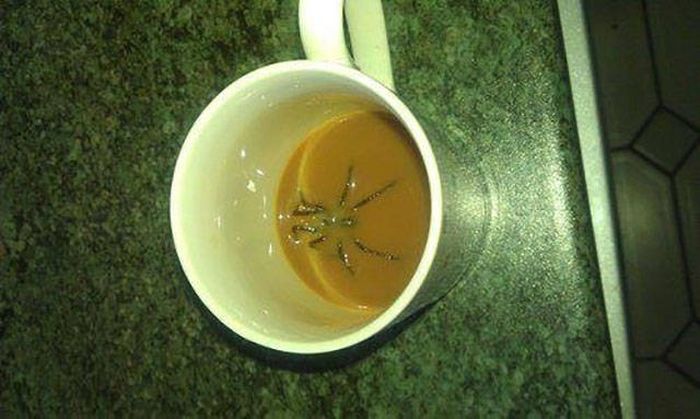 Taza de café con una araña al fondo