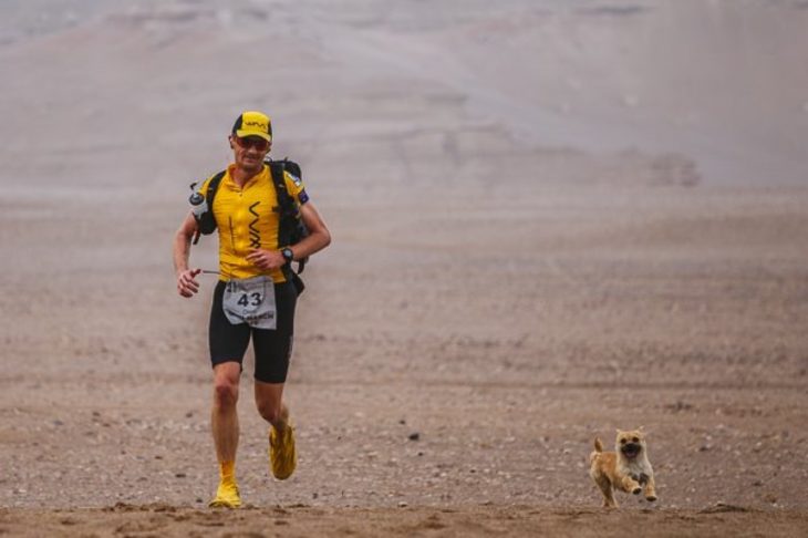 Cachorrita y maratonista corriendo en el desierto