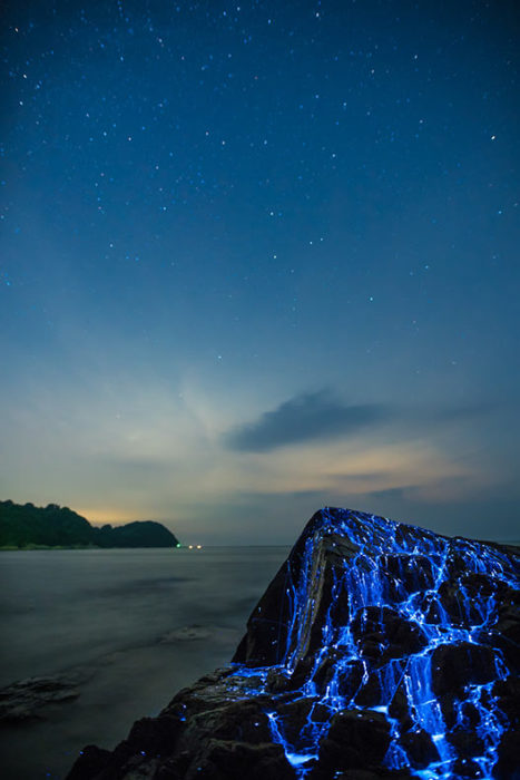 Paisaje de una roca en la que chorrea luz bioluminiscente originada por las luciérnagas del mar