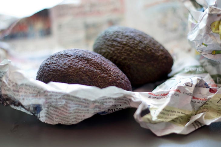 aguacates madurando en un periodíco