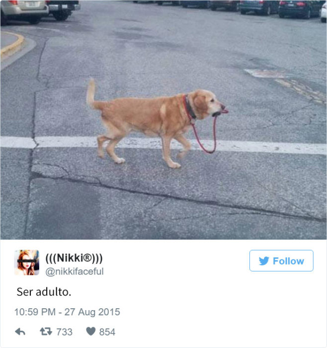 Tuits ser adulto. perro llevándose a sí mismo de la correa