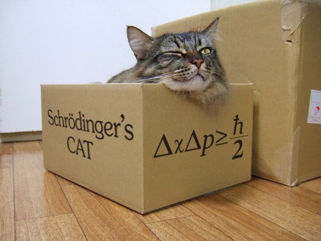 schrodinger cat