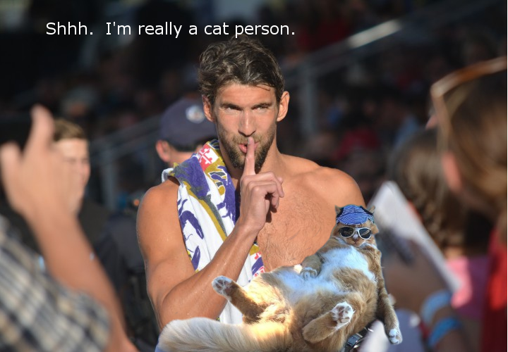 Phelps gato