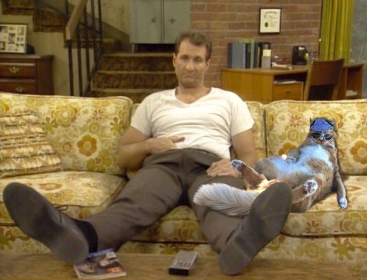 al bundy y gato