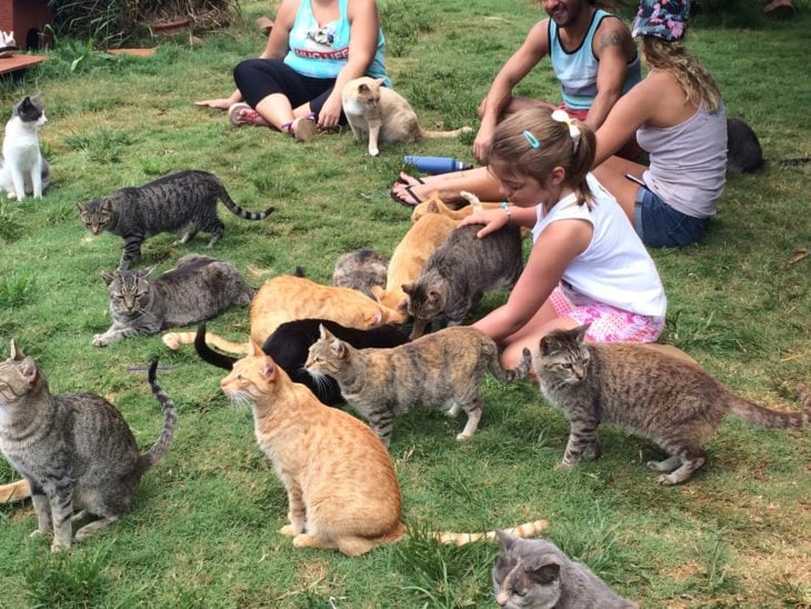 El Santuario del Gato