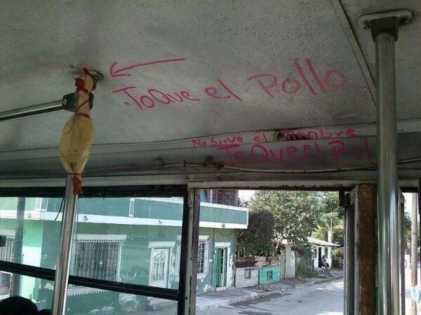 pollo timbre