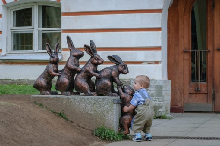 niño tratando de subir un conejo