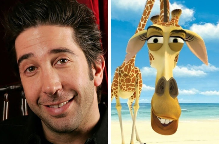 david, melman 