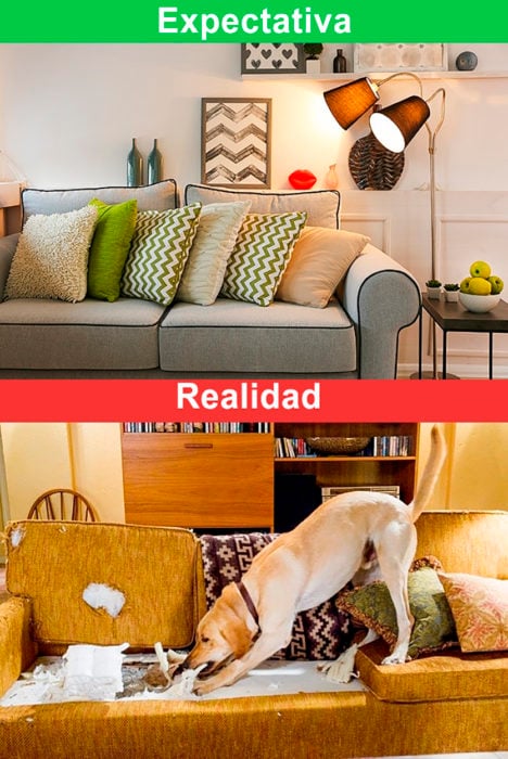 expectativa y realidad casa 