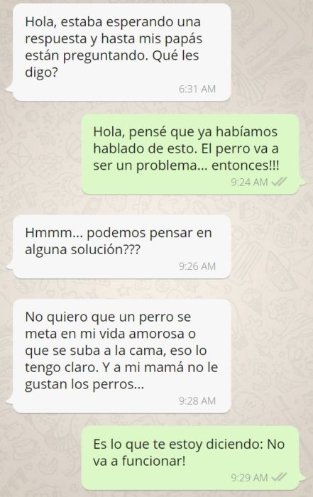 Rechaza propuesta de matrimonio - whats que les digo a mis papás