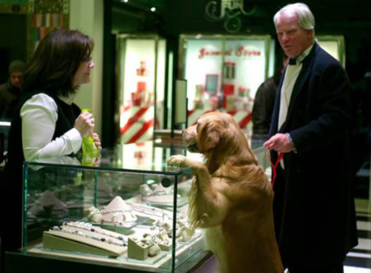 perro en joyería