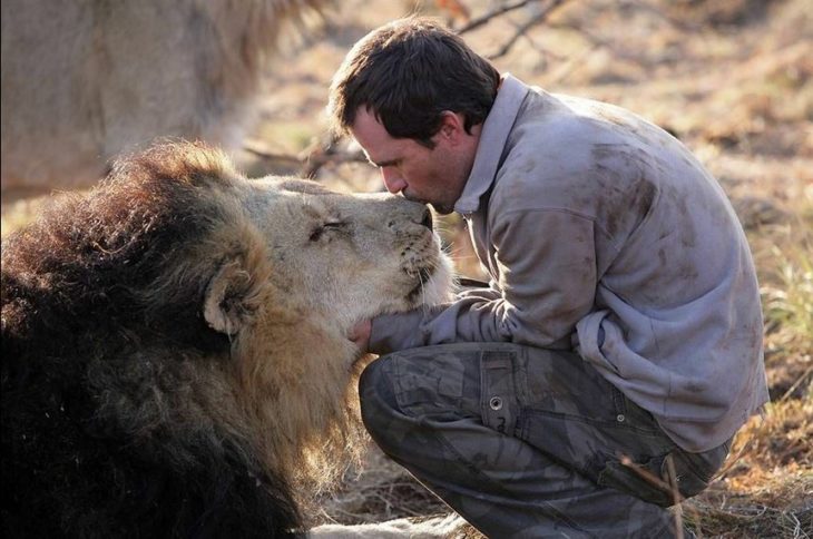 kevin richardson besando a un león