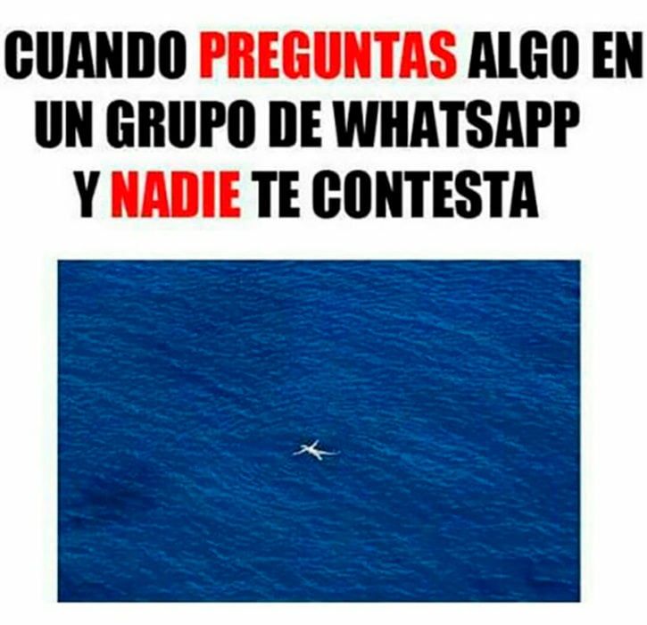 meme whatsapp