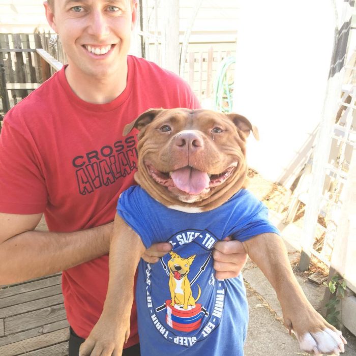 Perrito con camiseta