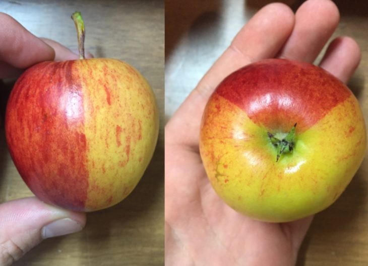 manzana de colores 