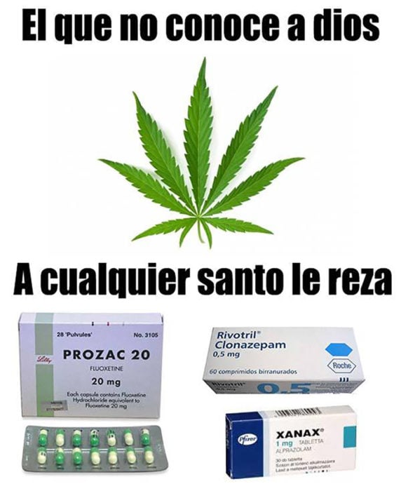 meme marihuana 